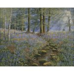(image for) Bluebell Wood